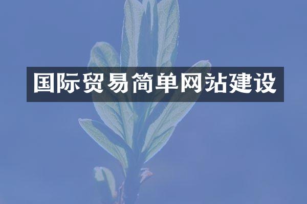 国际贸易简单网站建设