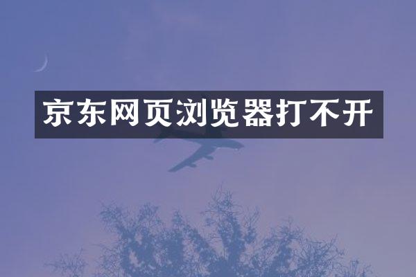京东网页浏览器打不开