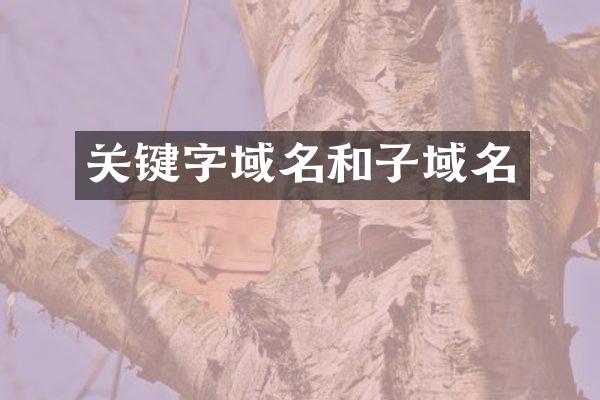 关键字域名和子域名