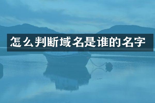 怎么判断域名是谁的名字