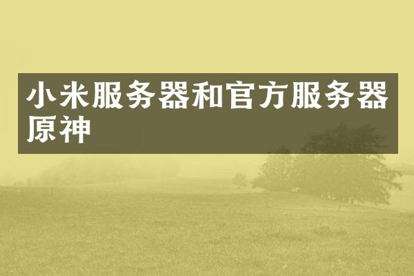 小米服务器和官方服务器原神