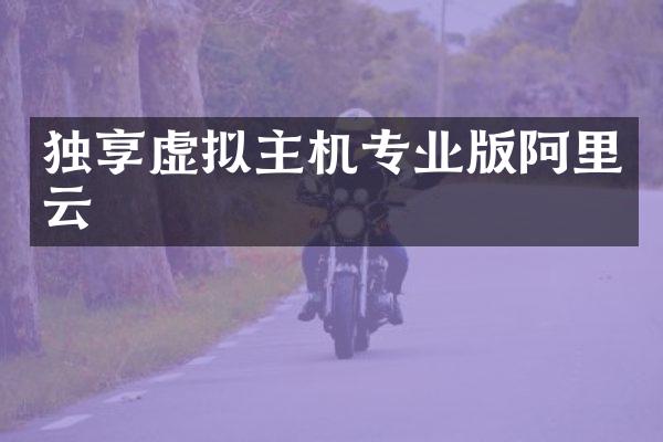 独享虚拟主机专业版阿里云