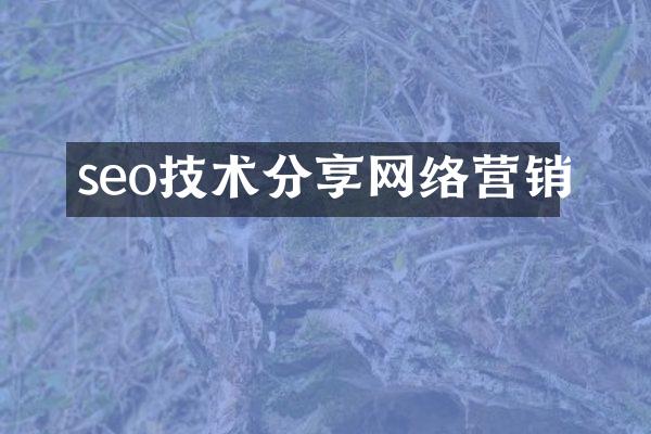 seo技术分享网络营销