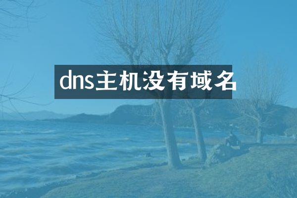 dns主机没有域名