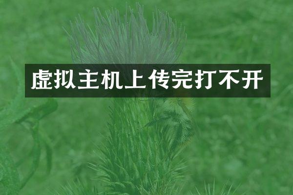 虚拟主机上传完打不开