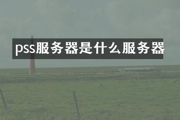 pss服务器是什么服务器
