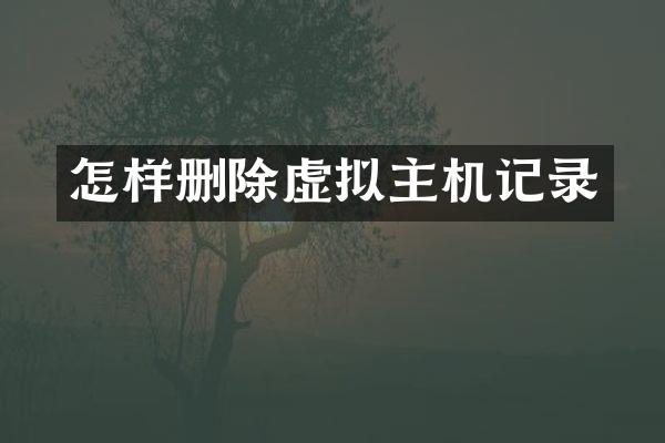 怎样删除虚拟主机记录