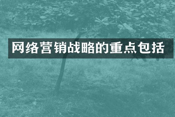 网络营销战略的重点包括