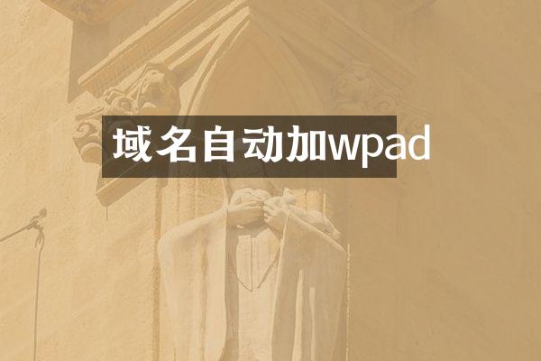 域名自动加wpad