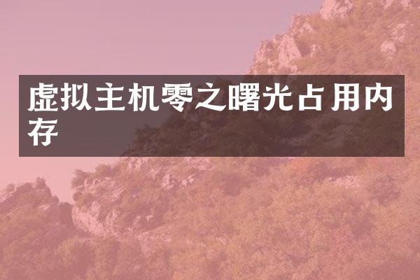 虚拟主机零之曙光占用内存
