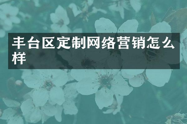 丰台区定制网络营销怎么样