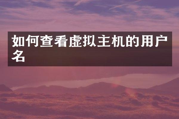 如何查看虚拟主机的用户名