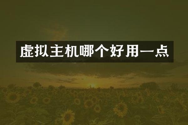 虚拟主机哪个好用一点