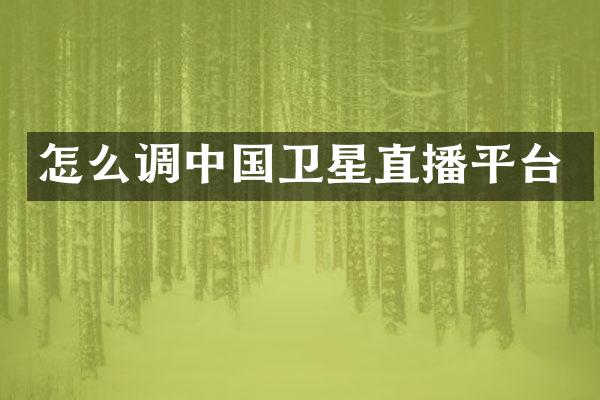 怎么调中国卫星直播平台