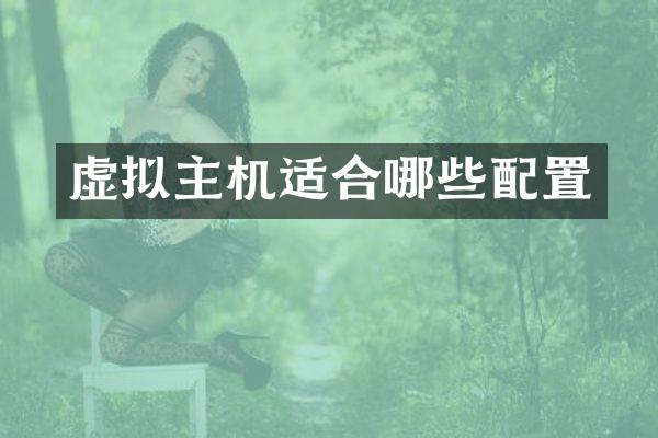 虚拟主机适合哪些配置