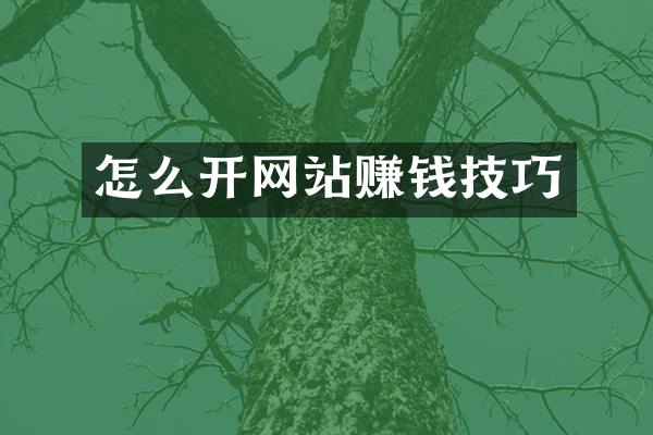 怎么开网站赚钱技巧