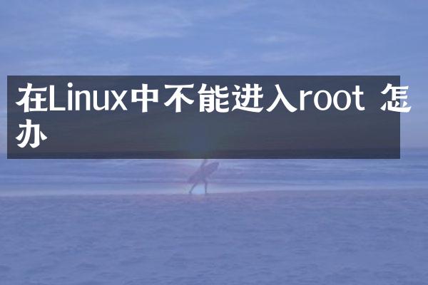 在Linux中不能进入root 怎么办
