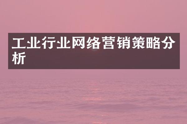 工业行业网络营销策略分析