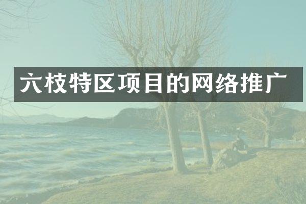 六枝特区项目的网络推广