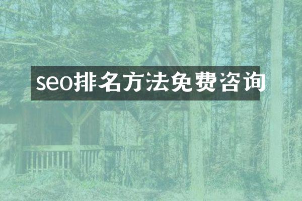 seo排名方法免费咨询