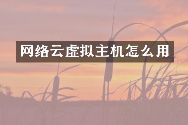 网络云虚拟主机怎么用