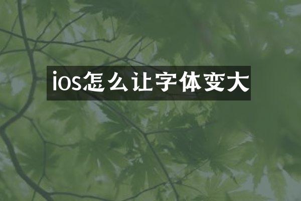 ios怎么让字体变大