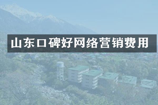 山东口碑好网络营销费用