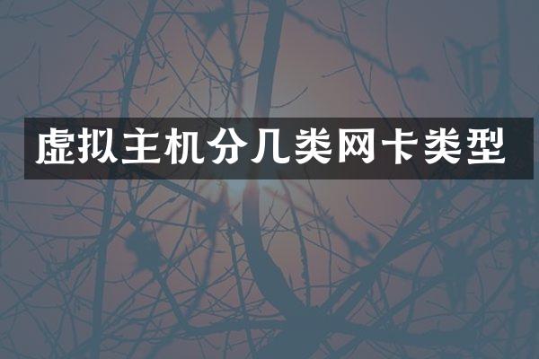 虚拟主机分几类网卡类型