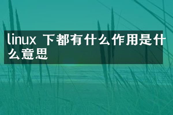 linux 下都有什么作用是什么意思