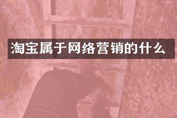 淘宝属于网络营销的什么