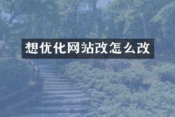 想优化网站改怎么改