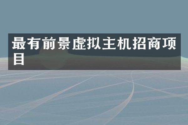 最有前景虚拟主机招商项目