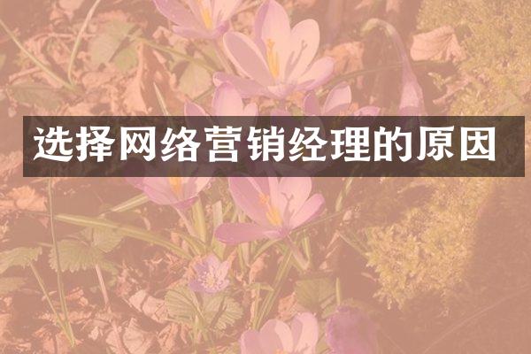 选择网络营销经理的原因
