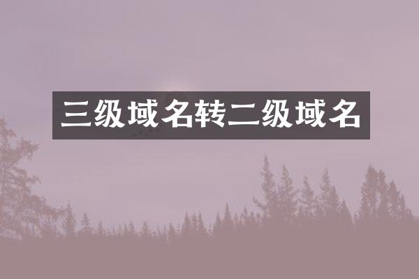 三级域名转二级域名