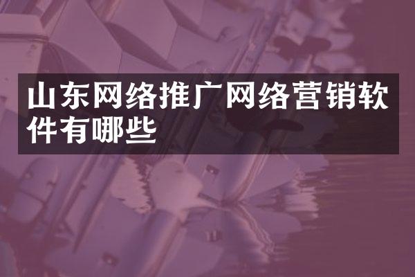 山东网络推广网络营销软件有哪些