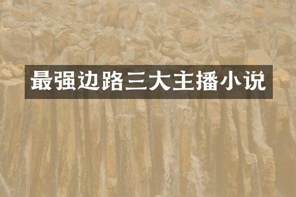 最强边路三大主播小说