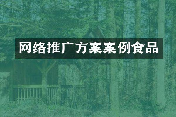 网络推广方案案例食品