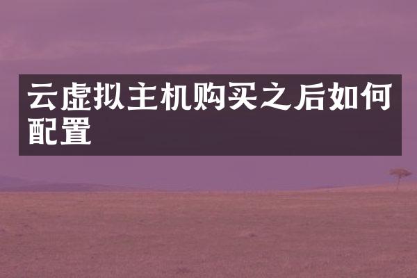 云虚拟主机购买之后如何配置