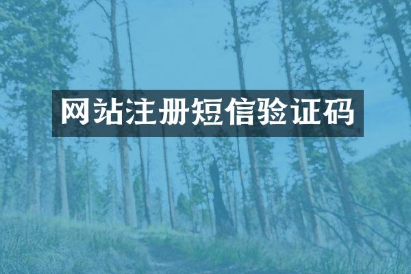 网站注册短信验证码