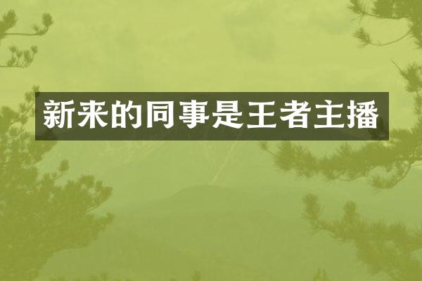新来的同事是王者主播