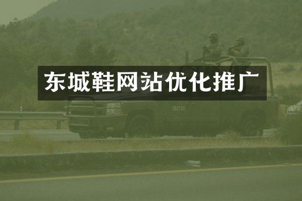 东城鞋网站优化推广