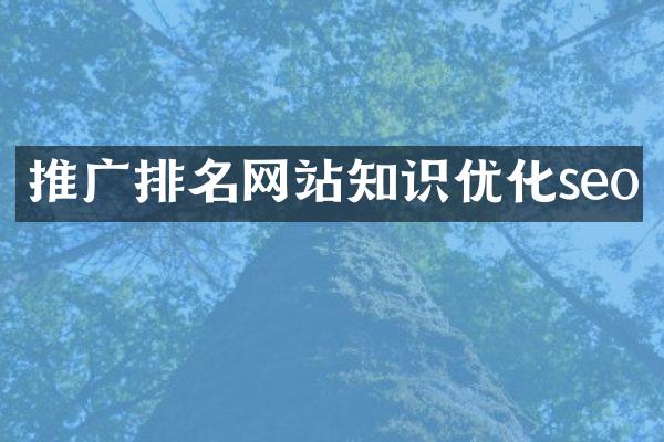 推广排名网站知识优化seo
