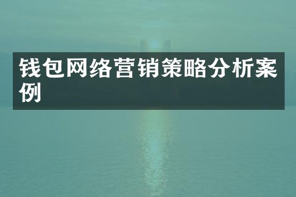 钱包网络营销策略分析案例