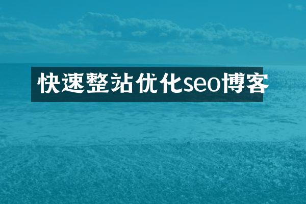 快速整站优化seo博客
