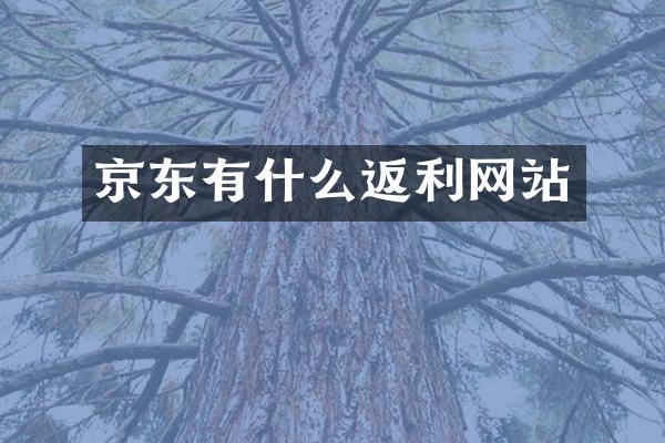 京东有什么返利网站