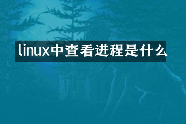 linux中查看进程是什么