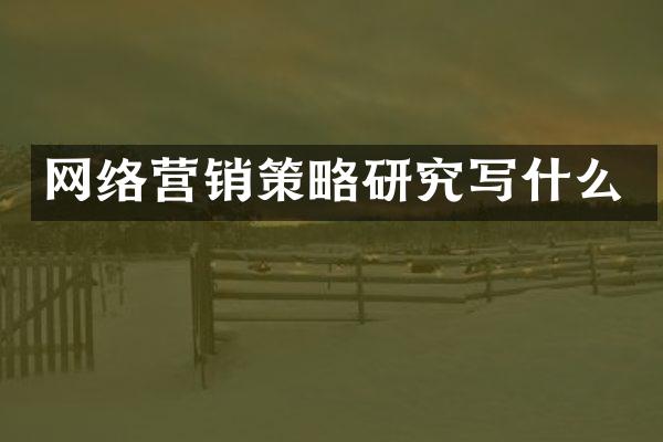 网络营销策略研究写什么