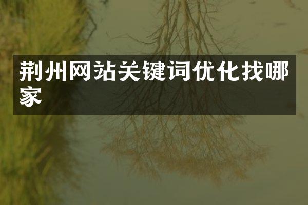 荆州网站关键词优化找哪家