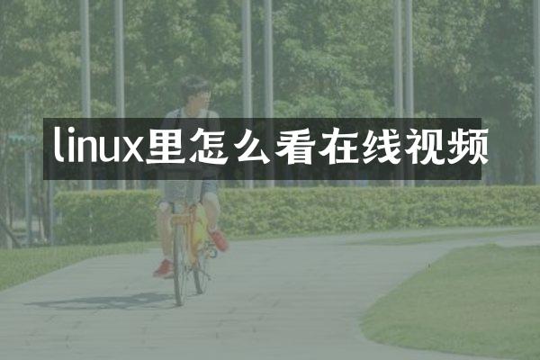 linux里怎么看在线视频