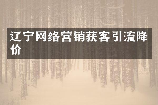 辽宁网络营销获客引流降价
